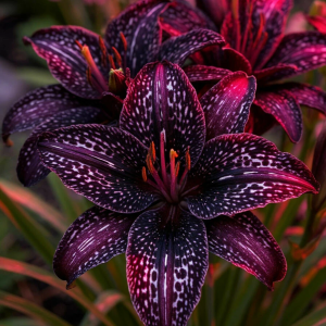 Лилейник Вояж купить по цене от 699р. в интернет-магазине «Посадика» с доставкой почтой в в Алуште и по всей России – [изображение №1].